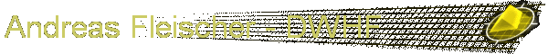 Andreas Fleischer - DWHF